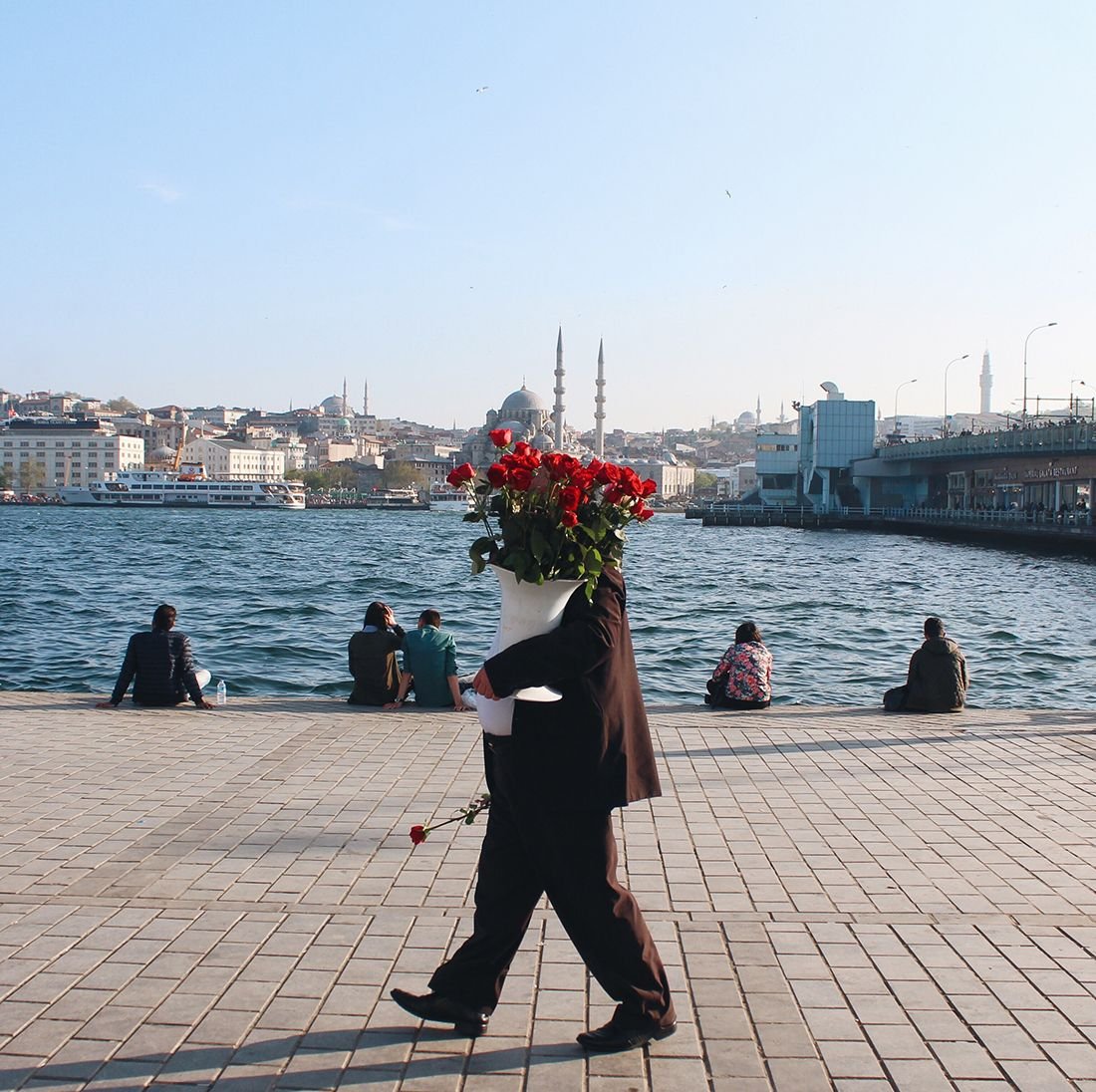 Beautiful Flowers New DP