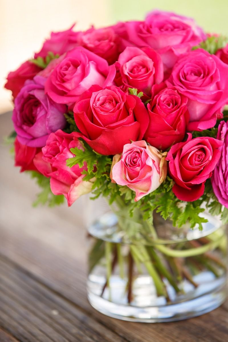 Beautiful Rose Flowers Images For DP