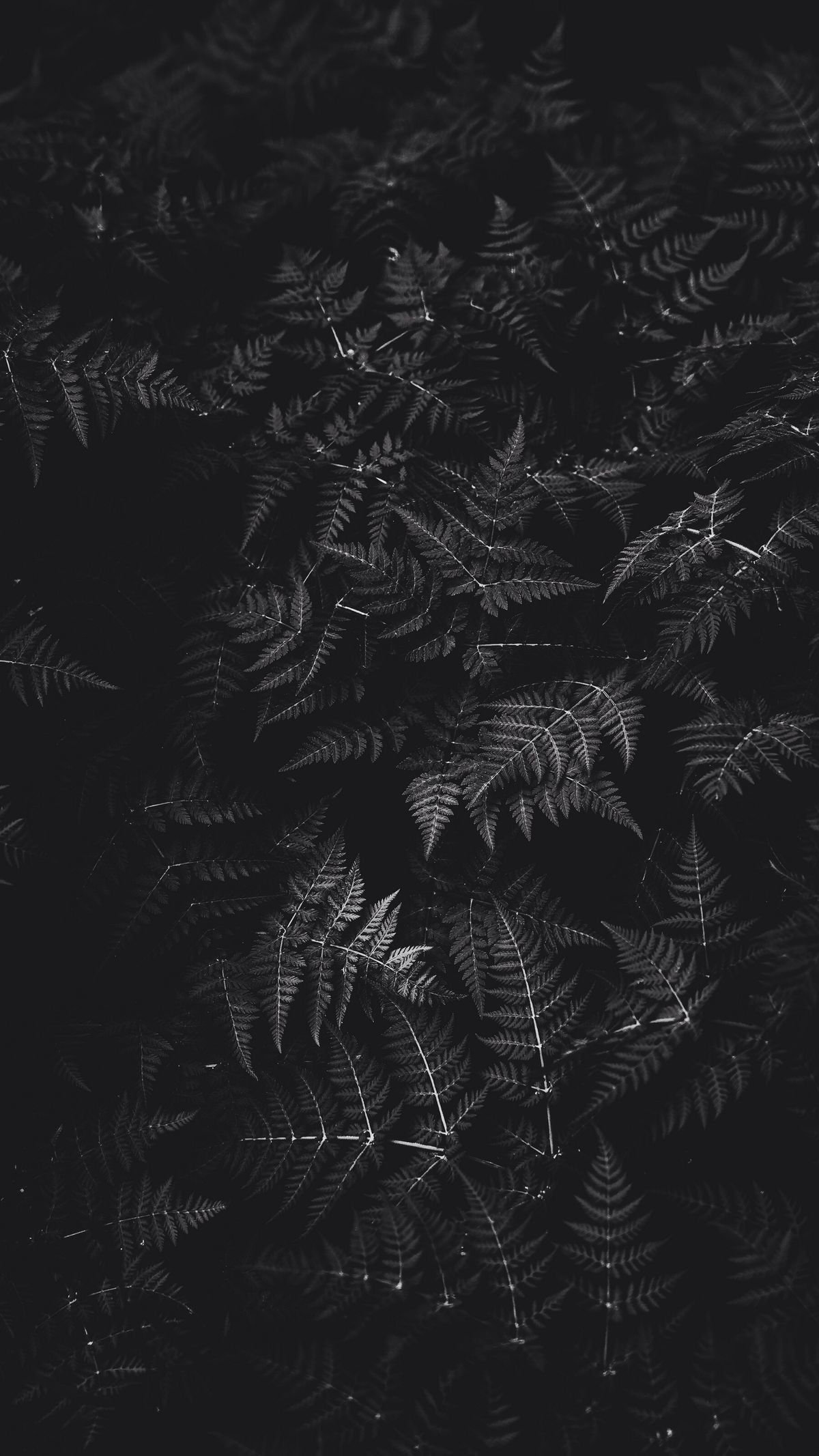 Black Abstract Wallpaper For Mobile