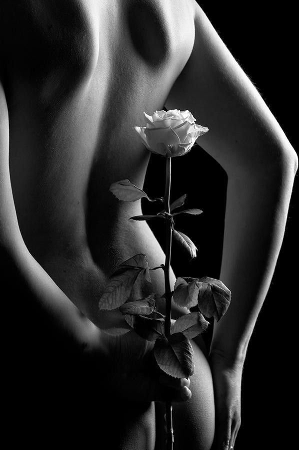 Black And White Rose Wallpaper HD