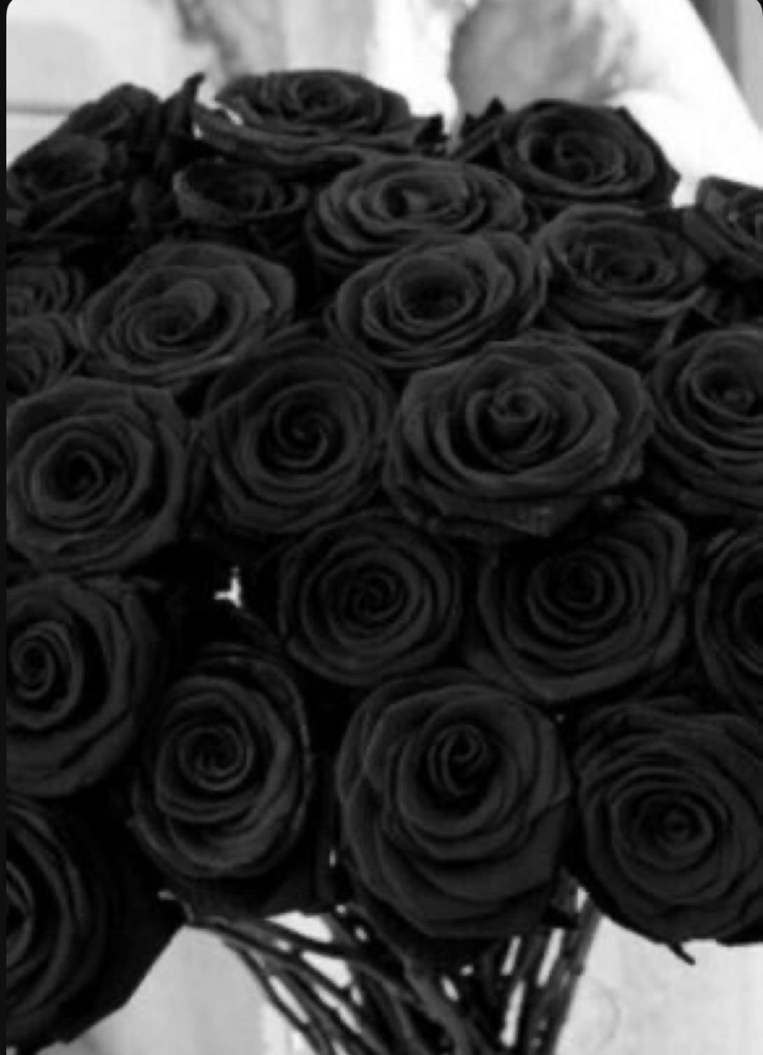 Black Rose Wallpaper Images