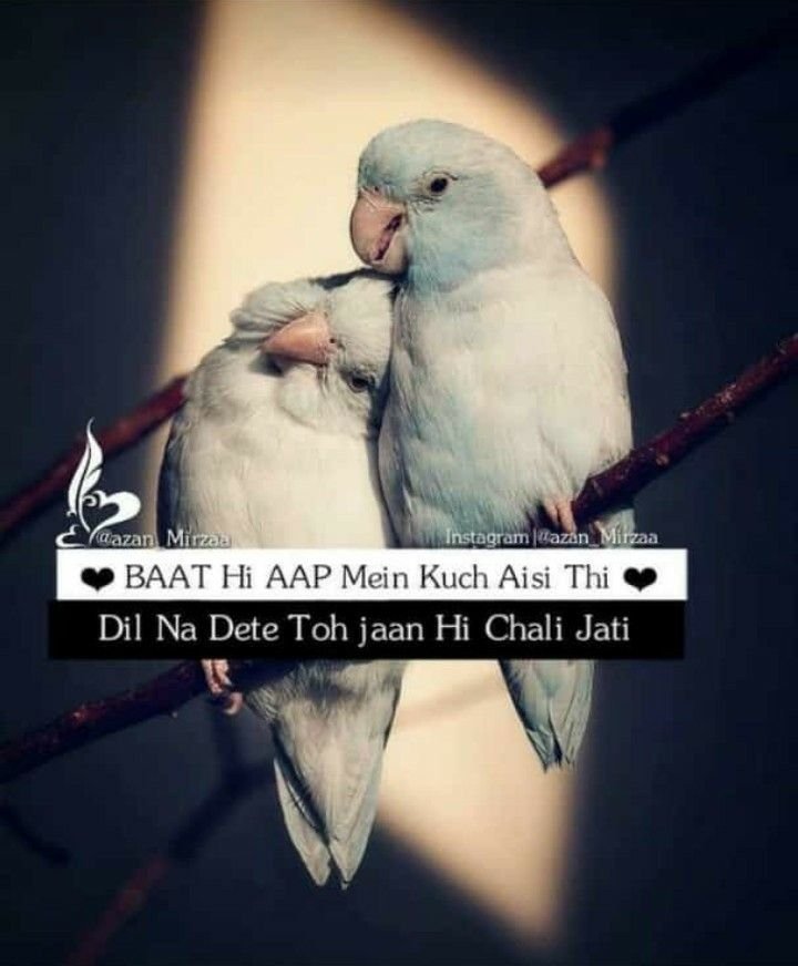 Cartoon Nice Quotes For Whatsapp DP On Two Sisters Love