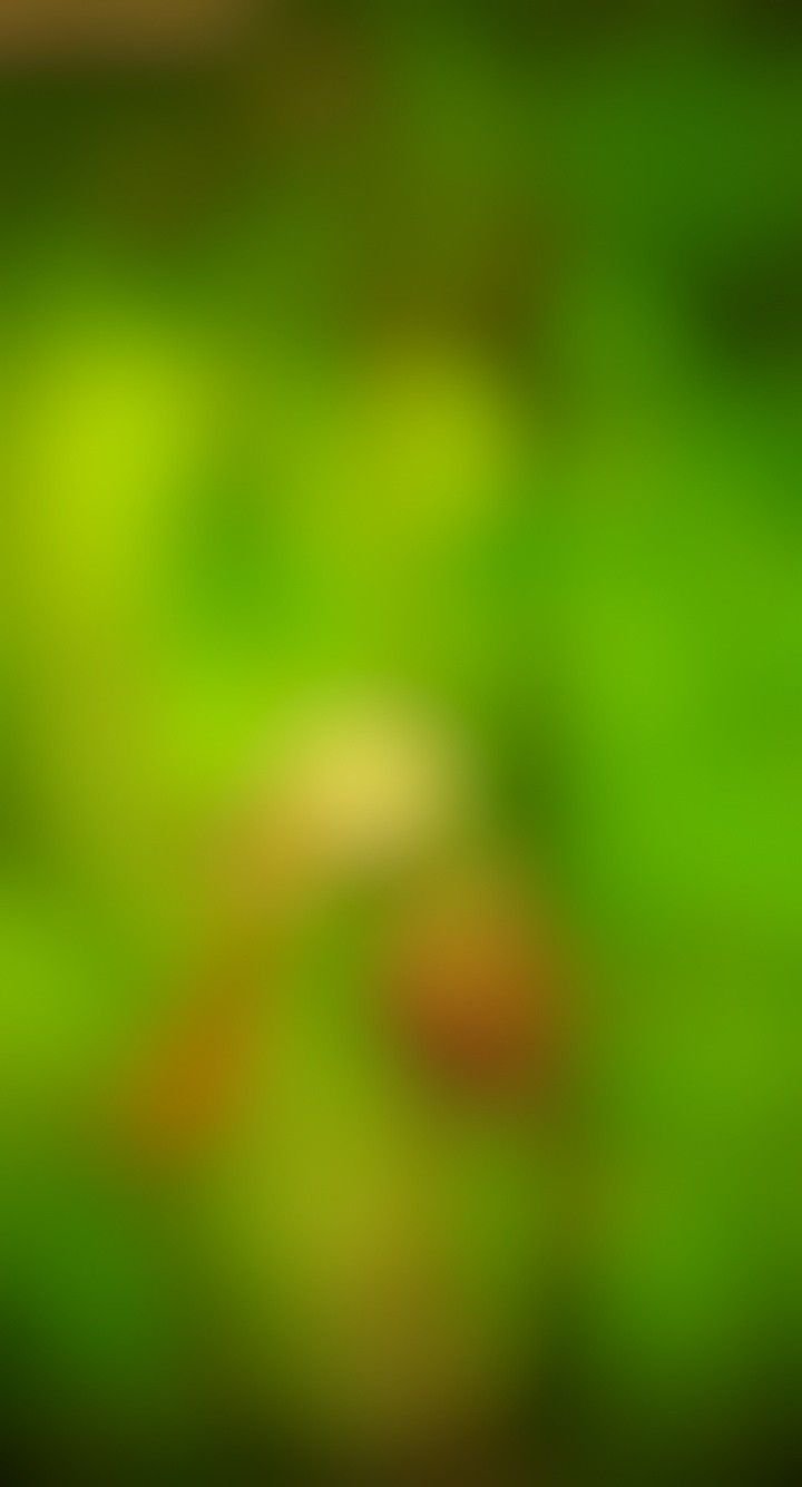 CB Background HD Green