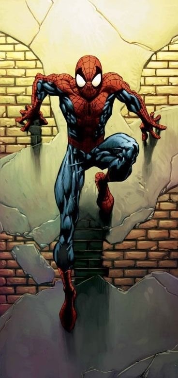 Cool Spiderman Symbol Wallpaper