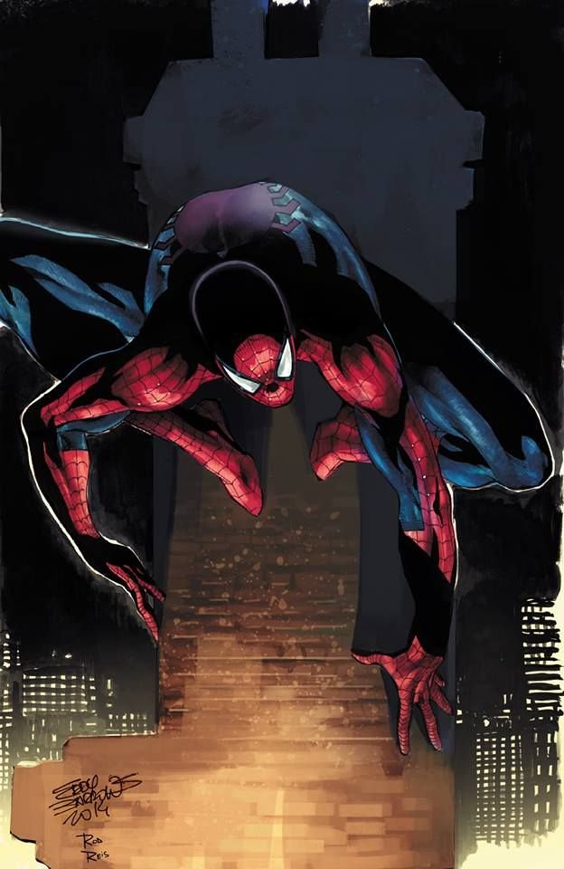 Download Spiderman Wallpaper For