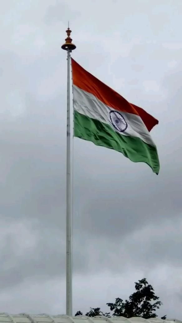 Flag Of India DP