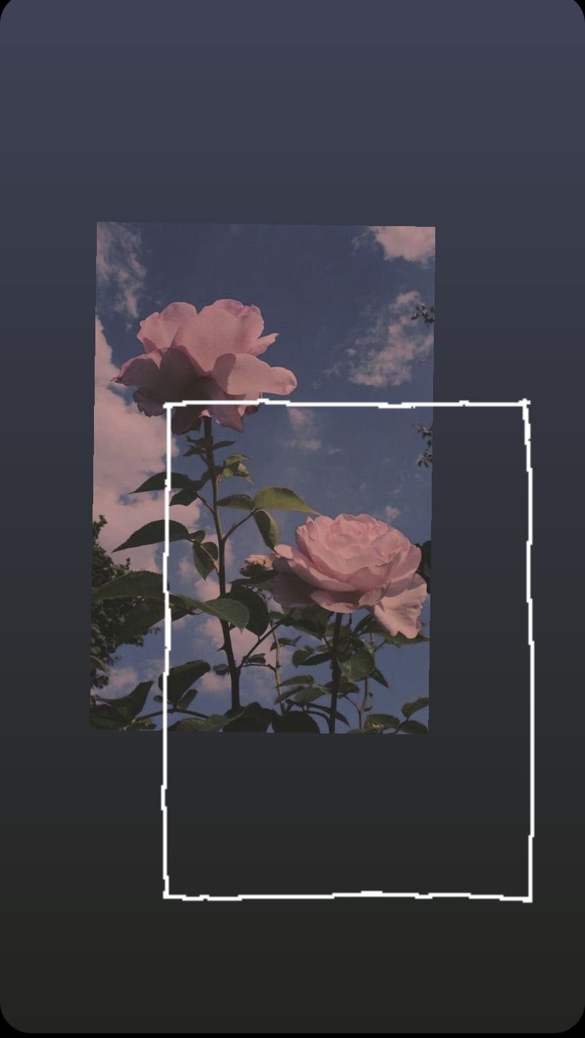 Flower DP Download
