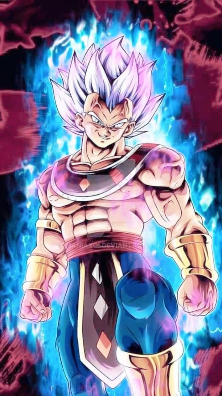 Goku And Vegeta Super Saiyan God Wallpaper