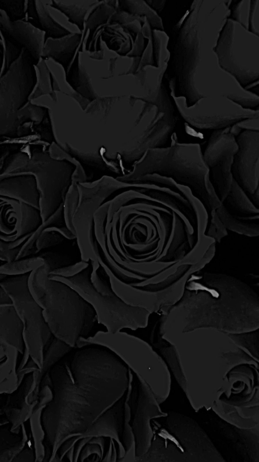 Goku Black Rose Mobile Wallpaper
