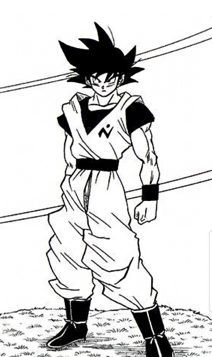 Goku Mastered Ultra Instinct Animated Wallpaper