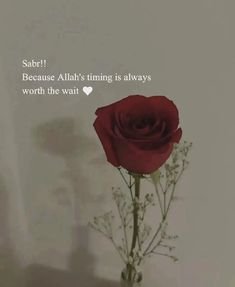 Heart Touching Islamic Quotes For Download DP
