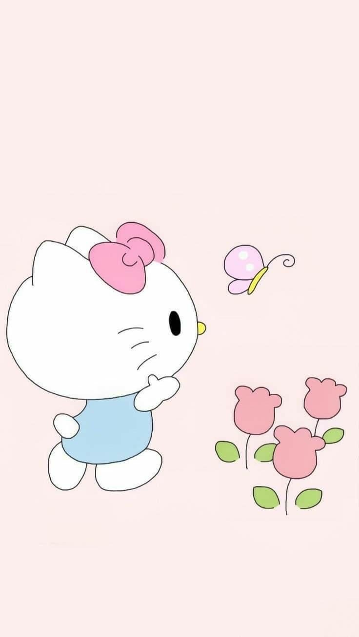 Hello Kitty Ribbon Wallpaper Pinterest 2019
