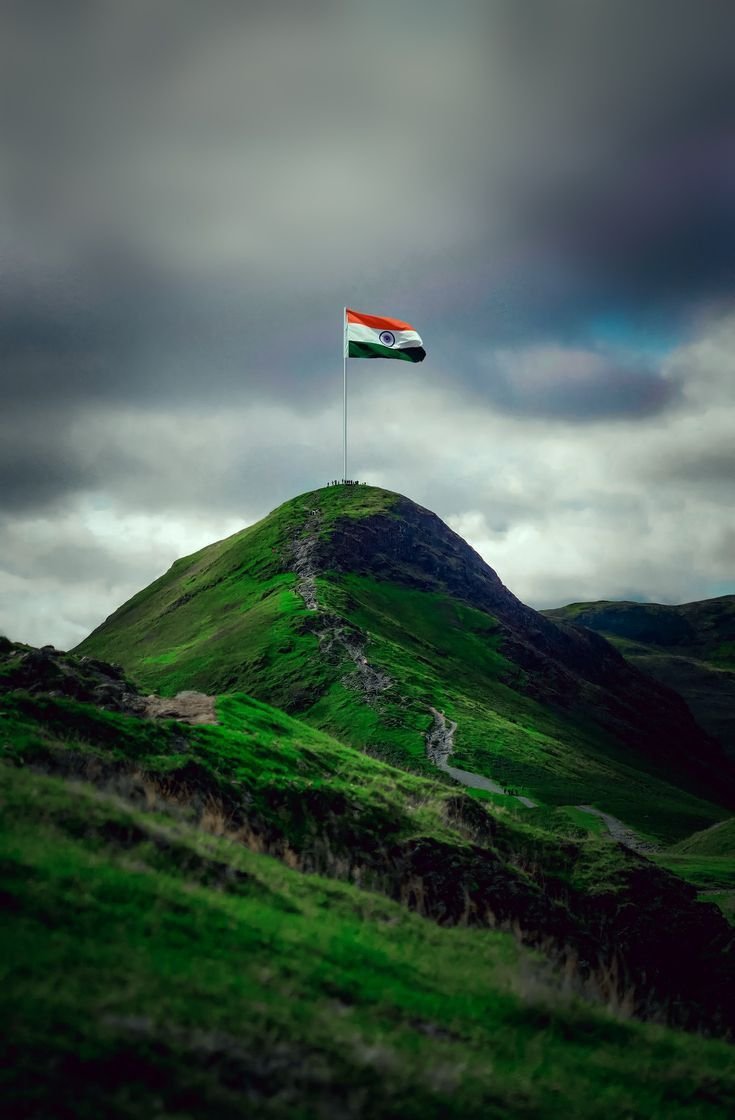 Indian Flag DP Download