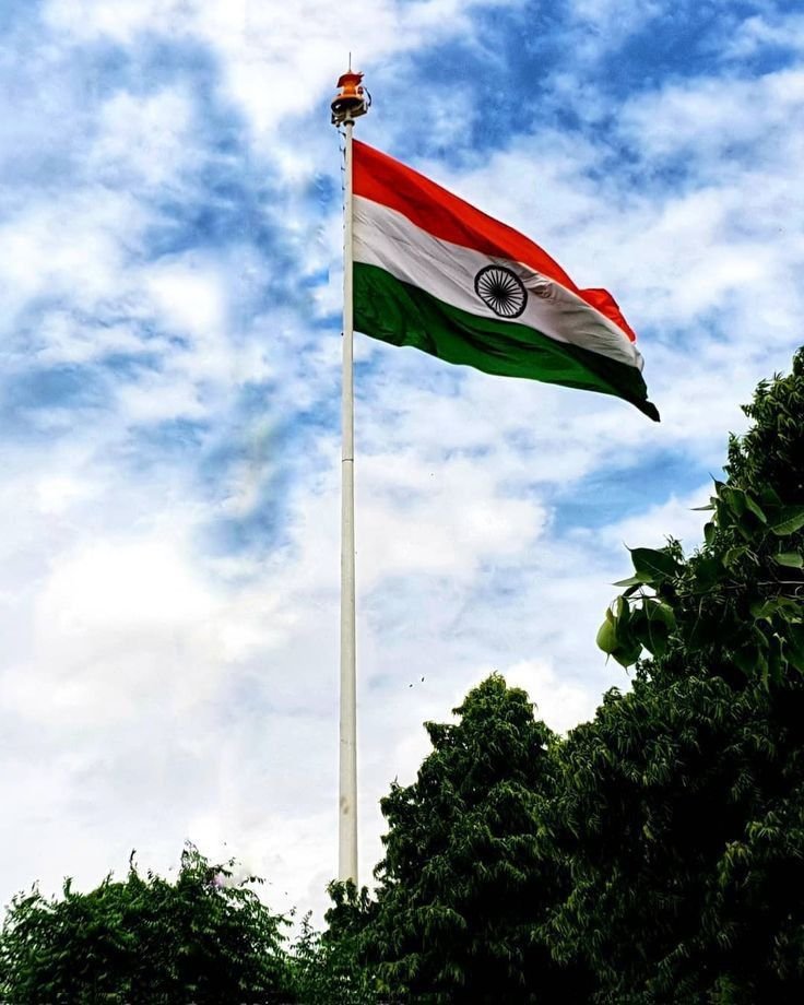 Indian Flag Photo DP