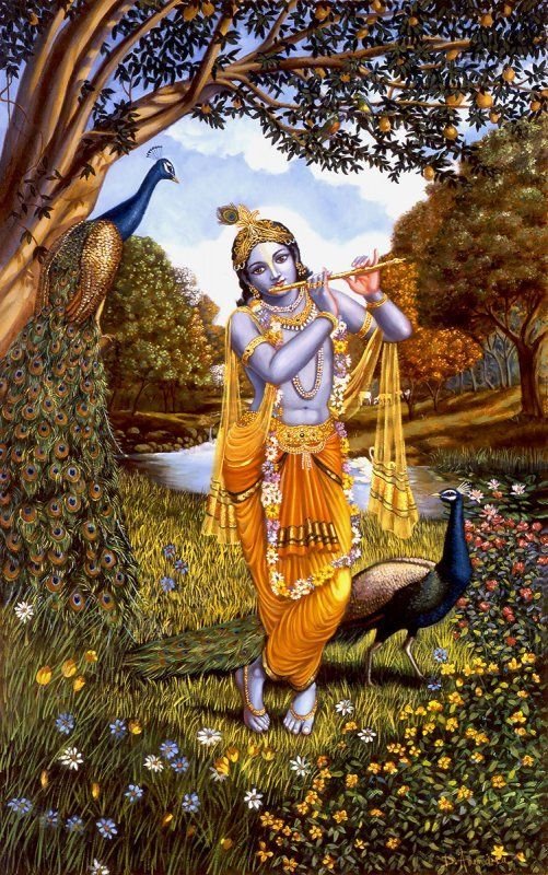 Lord Krishna Radha Images With Cow