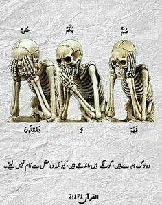 Poisoned Islamic Quotes Of Allah DP For Whatsapp In Urdu