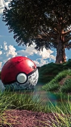 Pokemon Animated Wallpaper