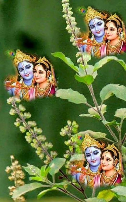 Romantic Lord Krishna Radha Images