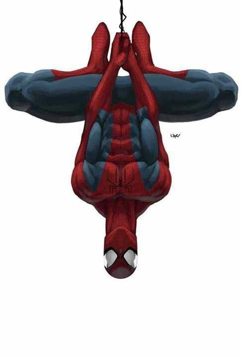 Spiderman 300 Wallpaper