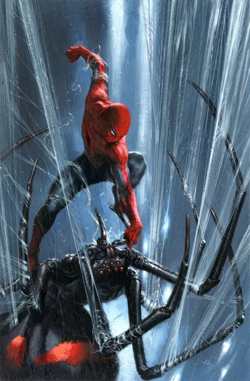 Spiderman Ffh Wallpaper