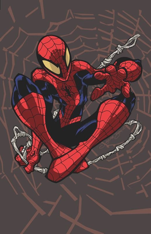Spiderman HD Wallpaper For Android Phone