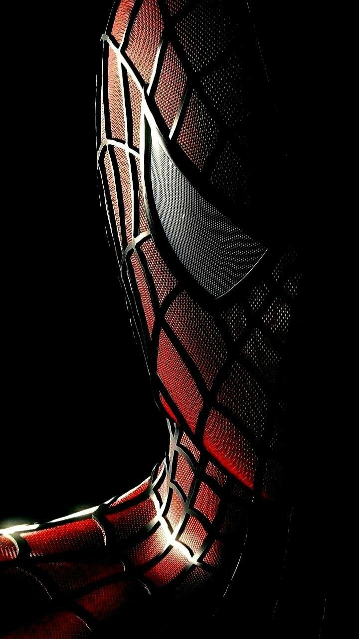 Spiderman Phone Wallpaper Domain_10