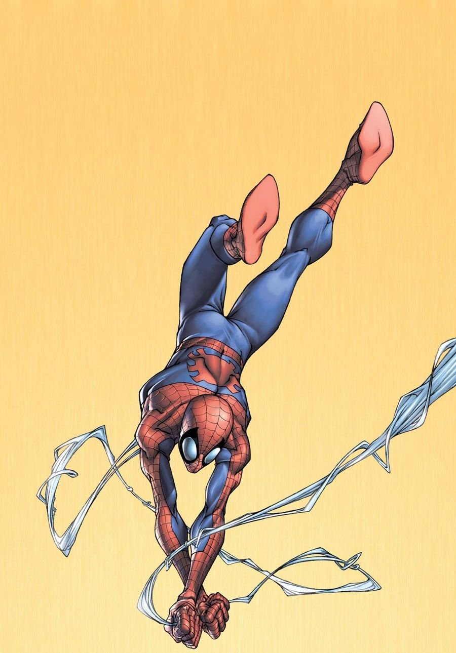 Spiderman Photo Wallpaper