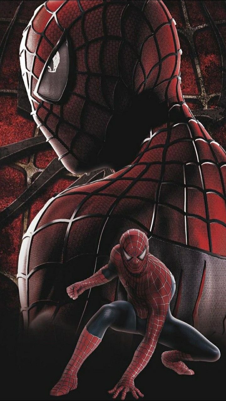 Spiderman Spider Verse Wallpaper 4K
