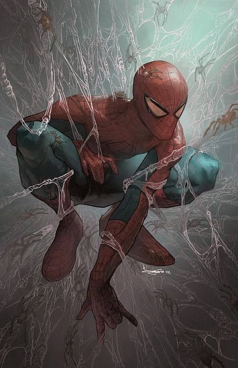 Spiderman Spider Wallpaper