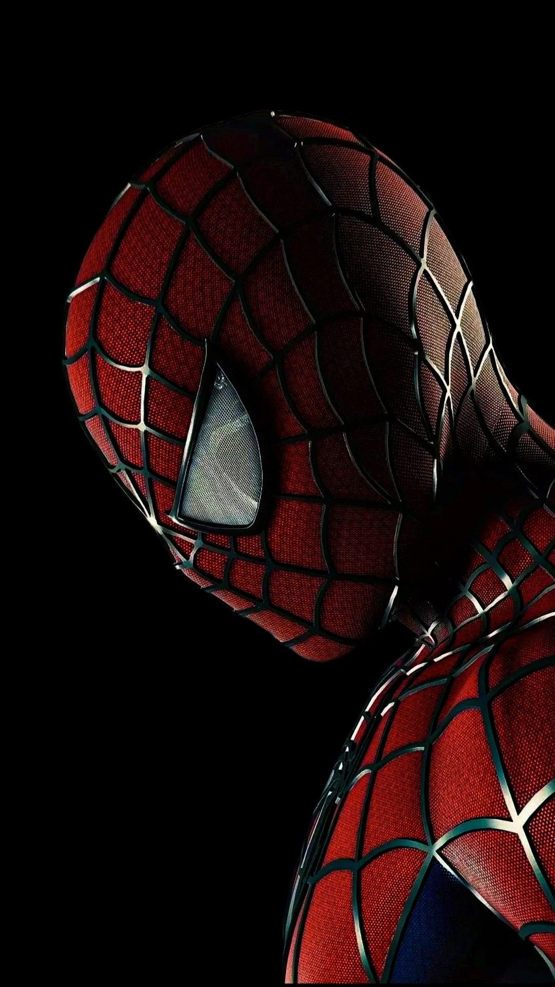 Spiderman Vector Wallpaper
