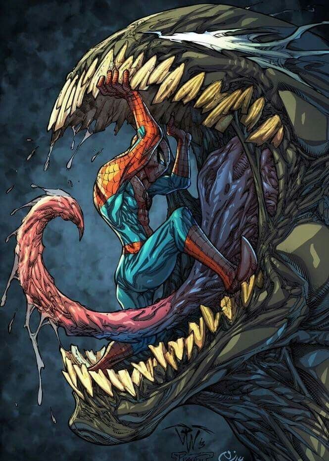 Spiderman Wallpaper Android