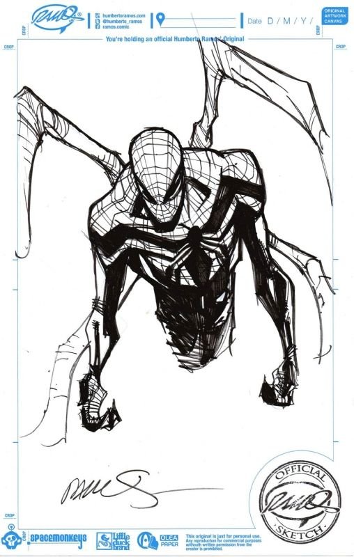 Spiderman Wallpaper Portrait
