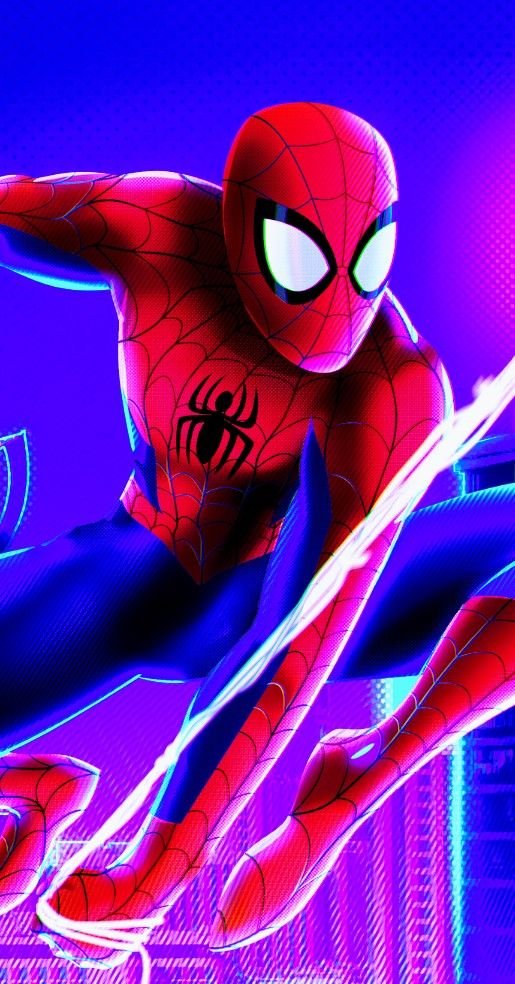 Spiderman Web HD Wallpaper