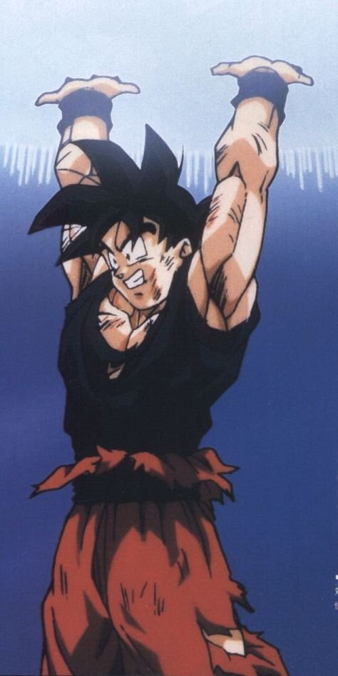 Ui Goku And Ssbe Vegeta Wallpaper