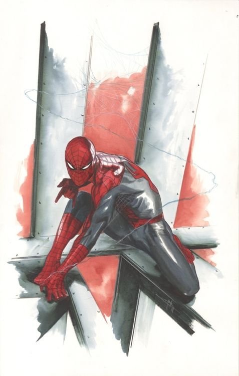 Wallpaper Of Hood Spiderman