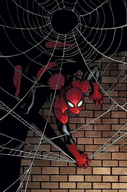 Wallpaper Spiderman 4K