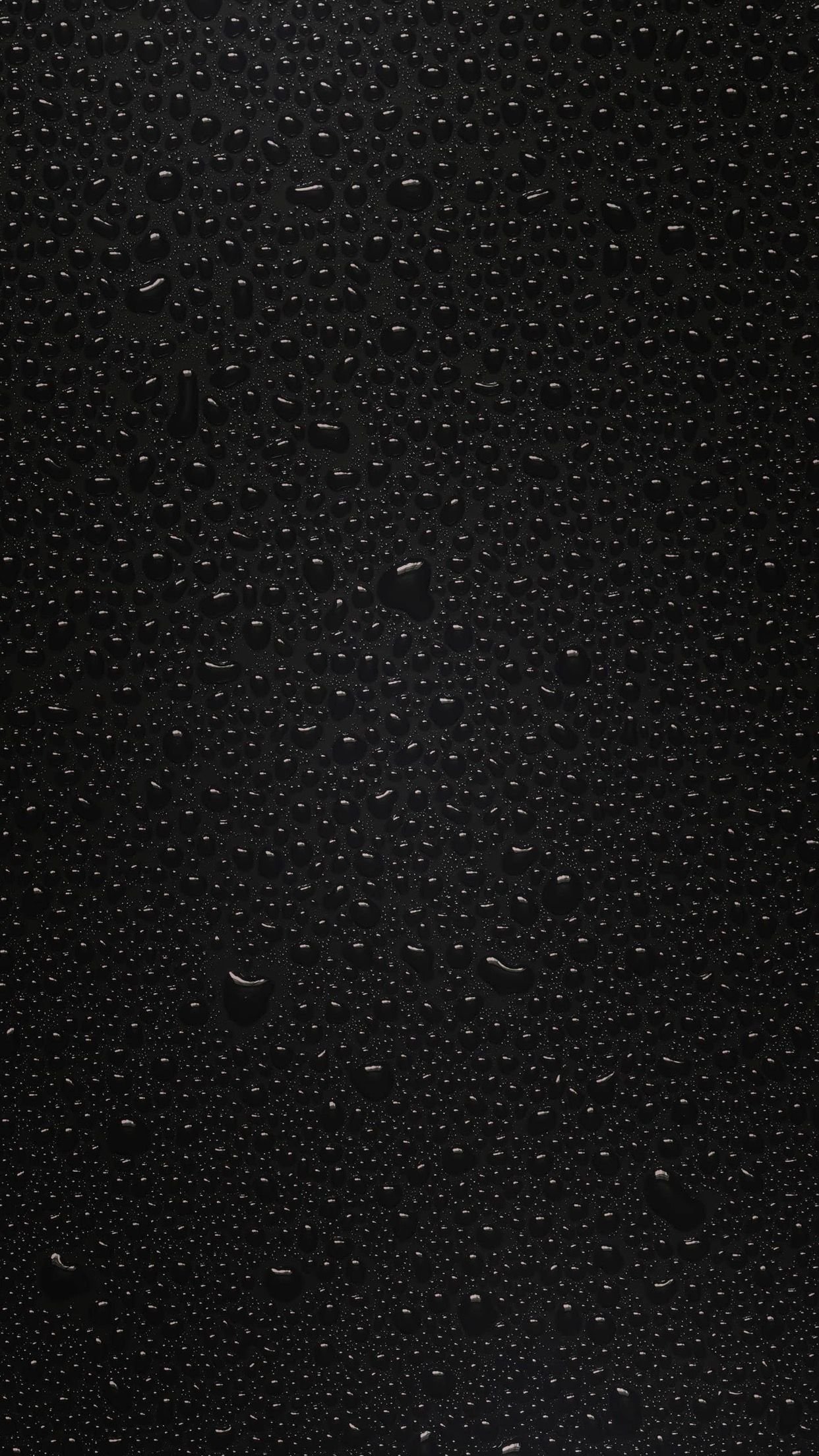 Z Black HD Wallpaper